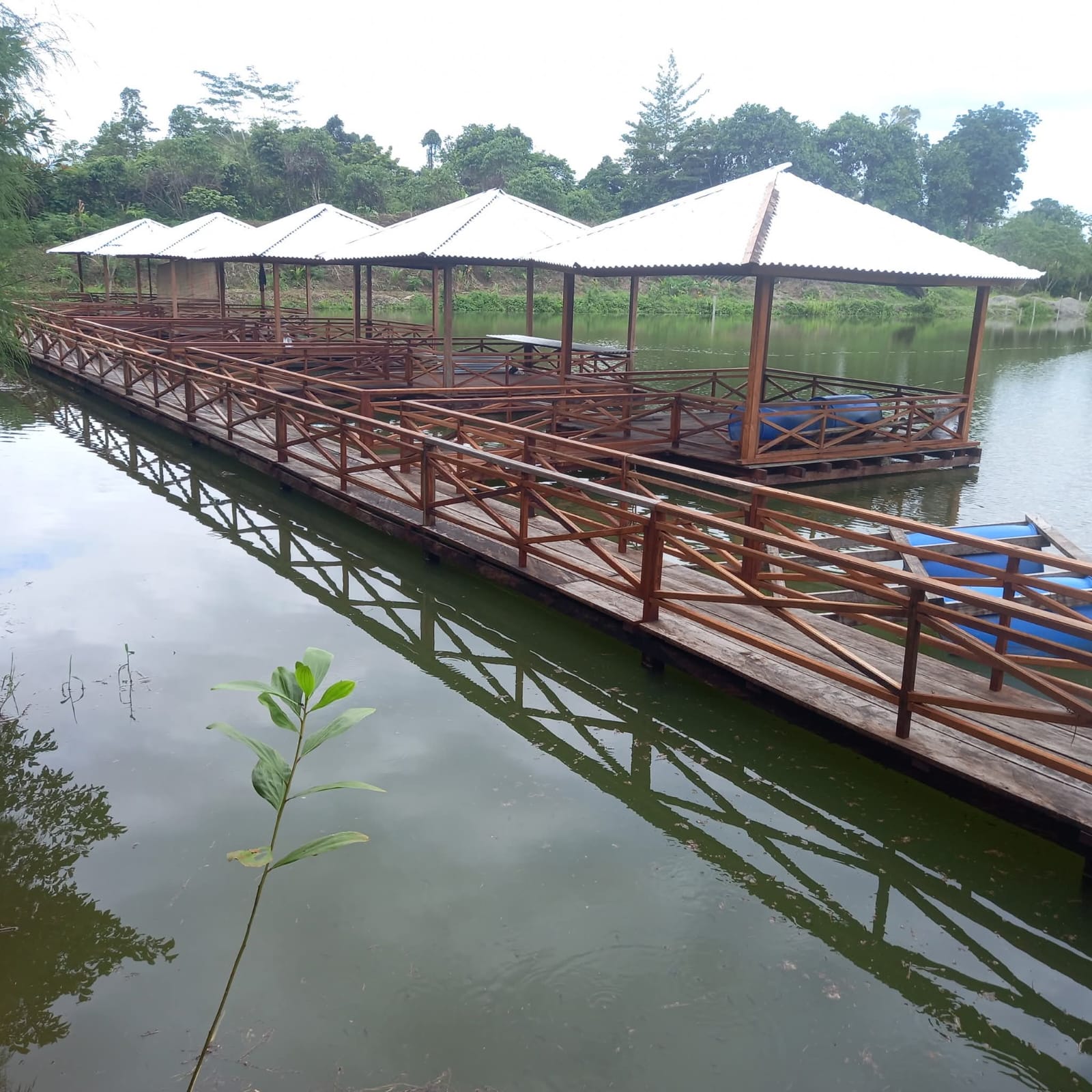 Pondok Gazebo di Atas Kolam Air