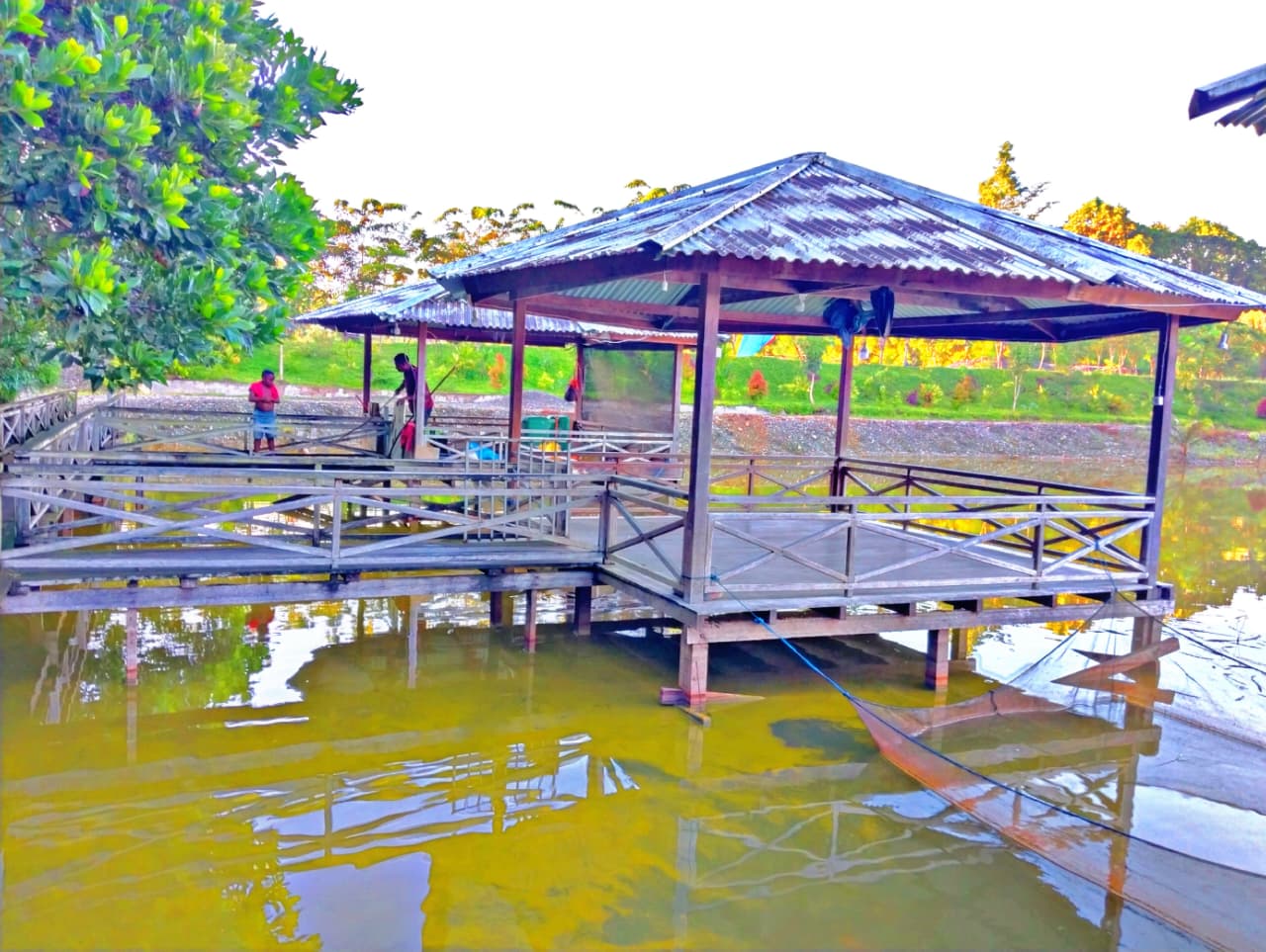 Keindahan Alam Wisata Kolam Pancing Mimika